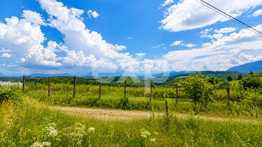 PANORAMA POIANA MĂRULUI | Teren cu potențial de dezvoltare