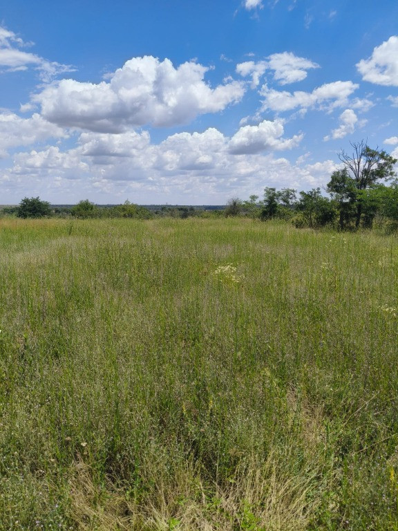 Teren intravilan – 2.500 mp – Roșiori de Vede, Teleorman