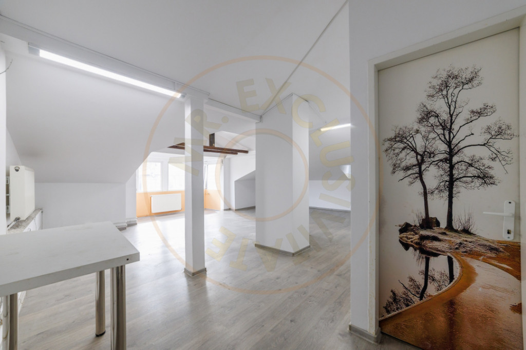 Spatiu Comercial Ultracentral Pitesti