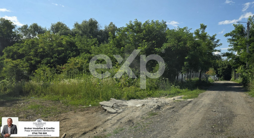 Teren intravilan 670 mp – Viforâta, com. Aninoasa, jud. D