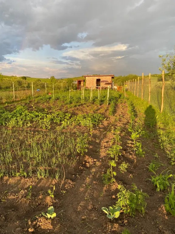 Casă de vânzare B-dul Independenței