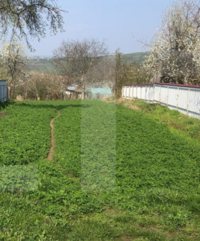 Teren intravilan, 3891 mp, la drum asfaltat, zona Bucecea