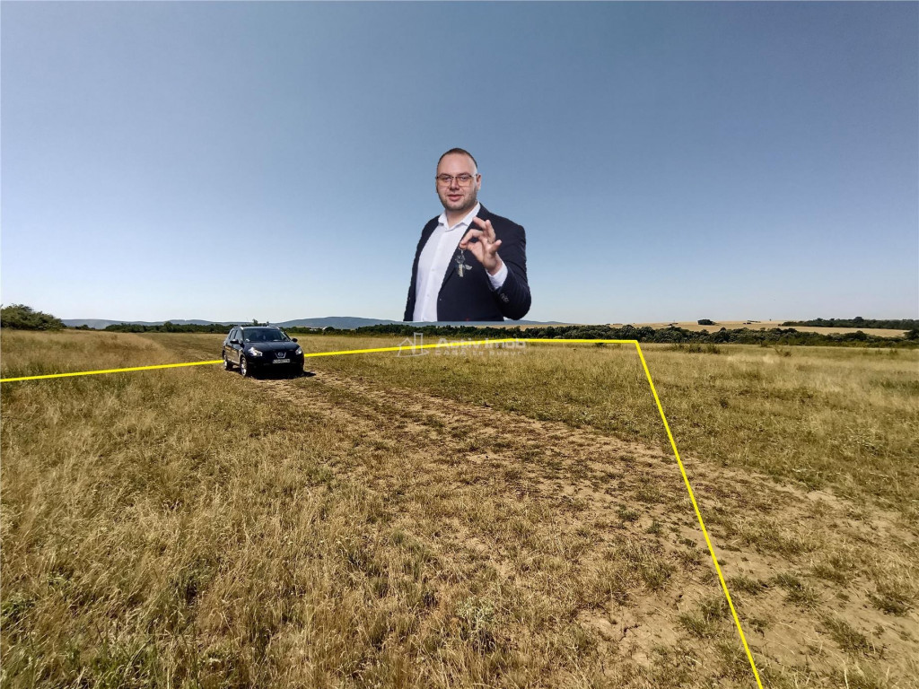 Nicolint, 2 Terenuri Extravilane, Arabil, 1.45 Hectare
