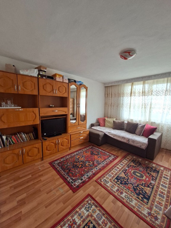 Apartament 1 camera Central