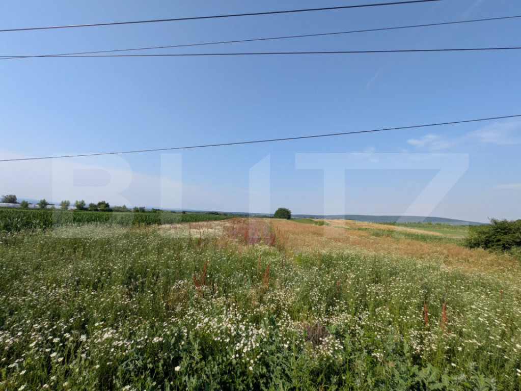 Teren de vanzare, 3.000 mp, utilități și acces asfaltat,