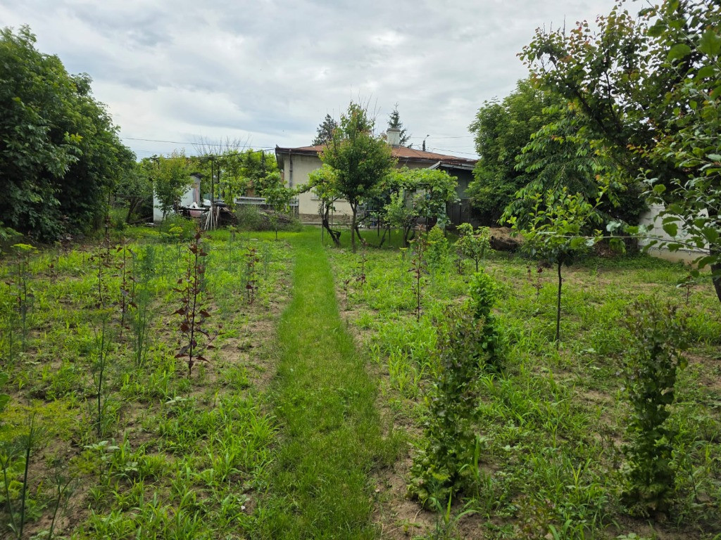 Casa caramida la strada Puskin