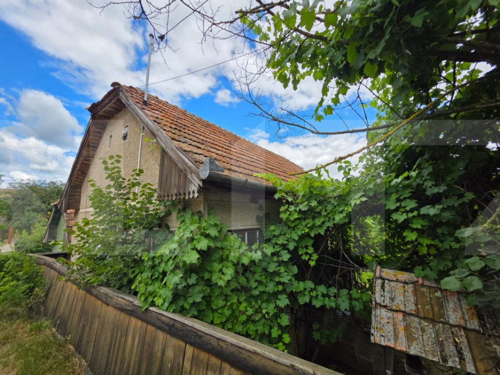 Casa traditionala din caramida in satul Anghelus