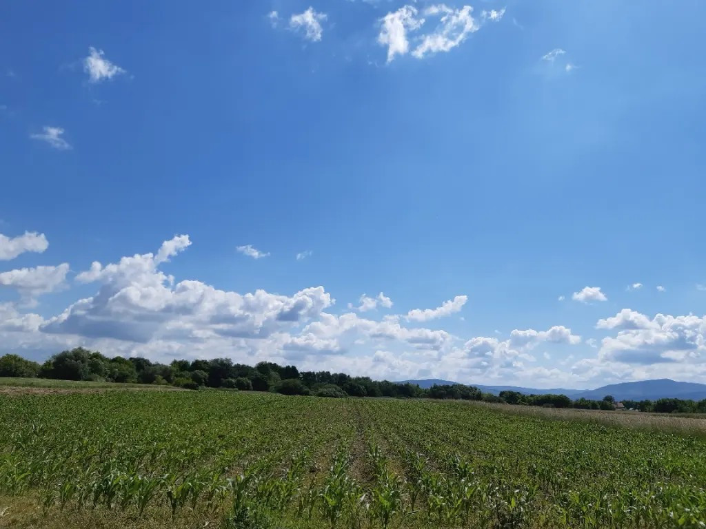 Teren agricol Podu Oltului la limita UAT Prejmer si UAT Harman 20300mp