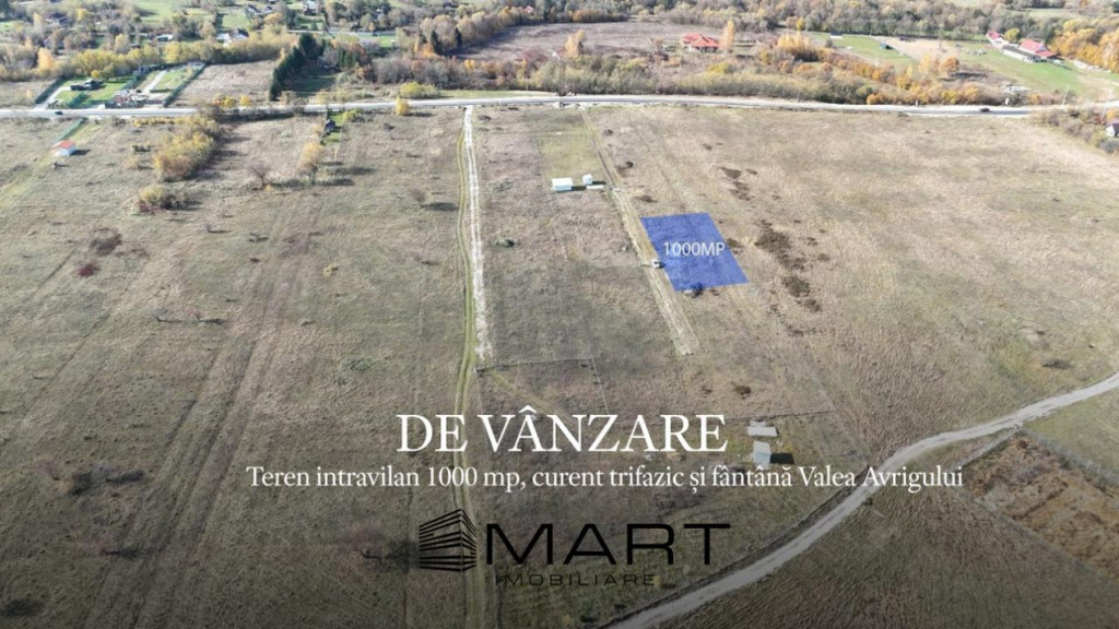 Teren 1000 mp, curent trifazic si fantana Valea Avrigului