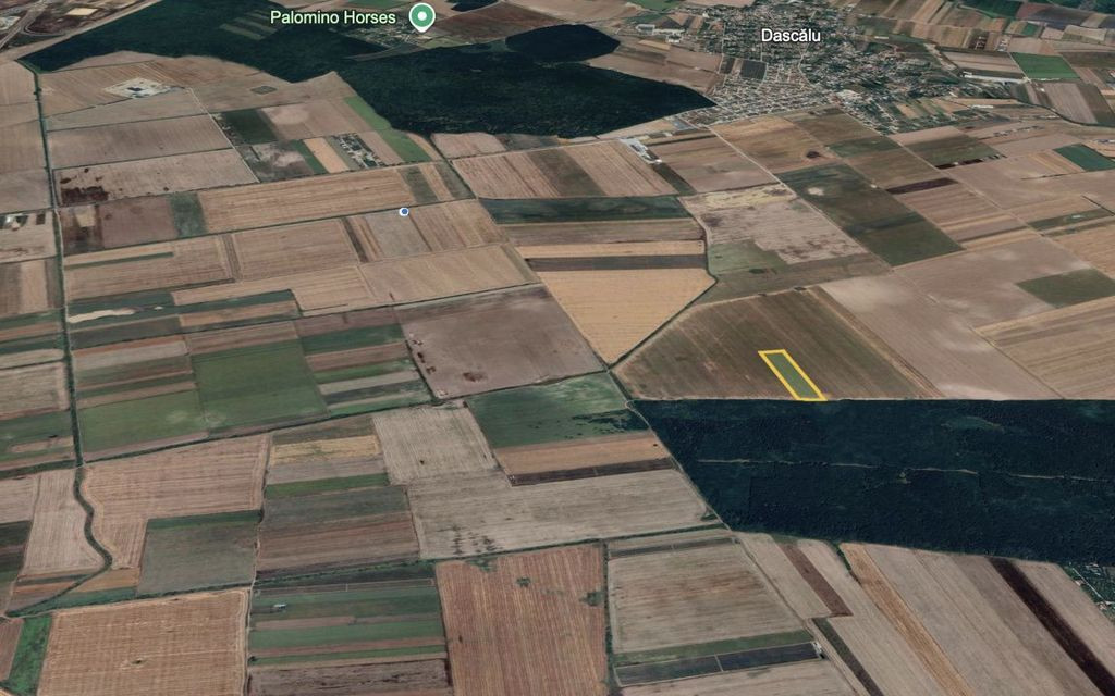 Teren mare Dascalu / Ilfov – lângă A0, deschidere la ...