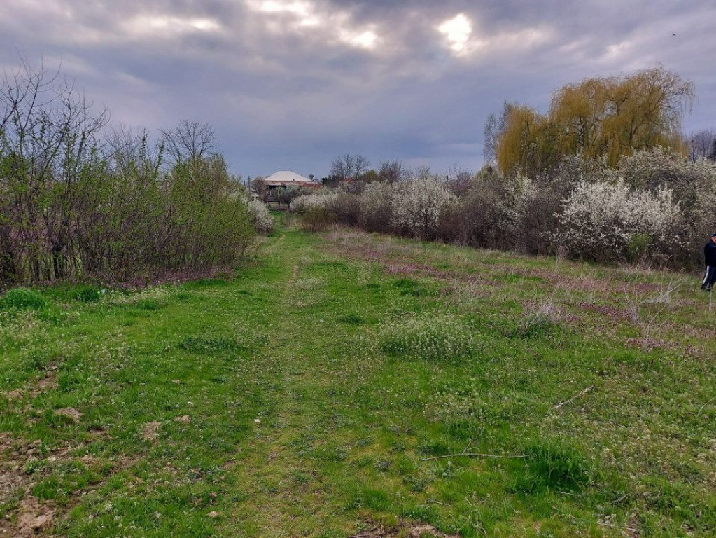 Teren Topoloveni - 3670 mp - langa padure, aproape de Cen...