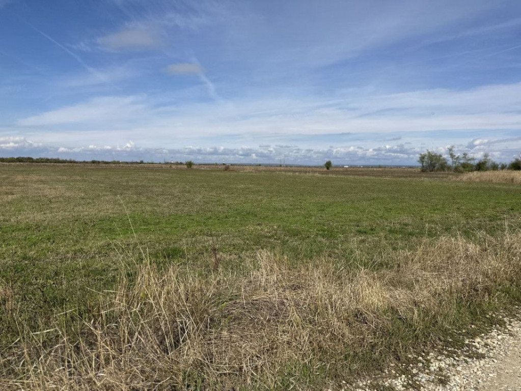 Teren intravilan 3700 mp la 28 km de Pitesti - zona linis...