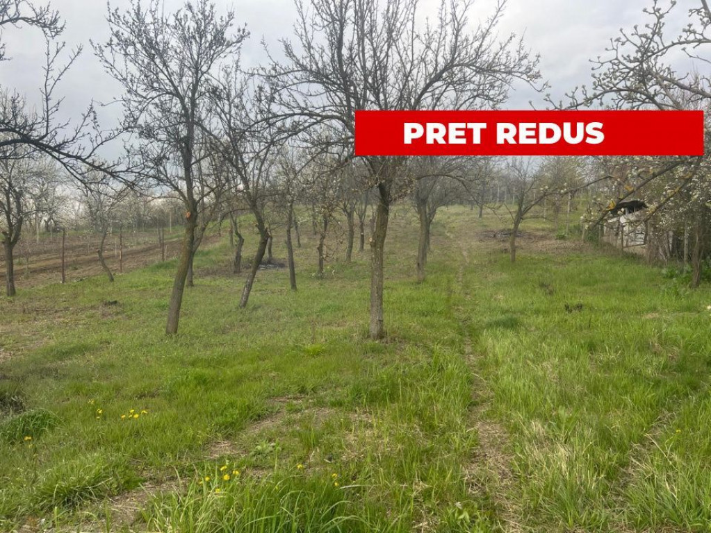 Teren intravilan 2.200 mp cu constructie existenta –Cal...