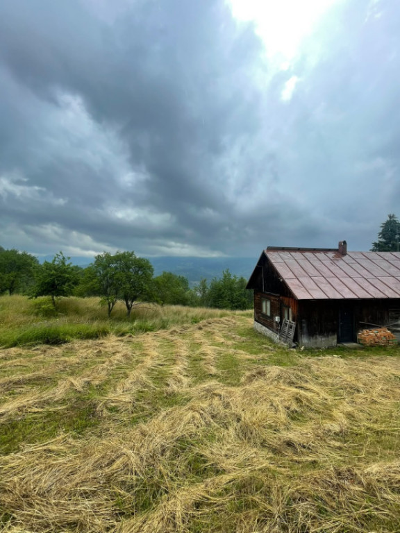 Cabană de vacanță cu teren generos de 83 ari – Borșa,