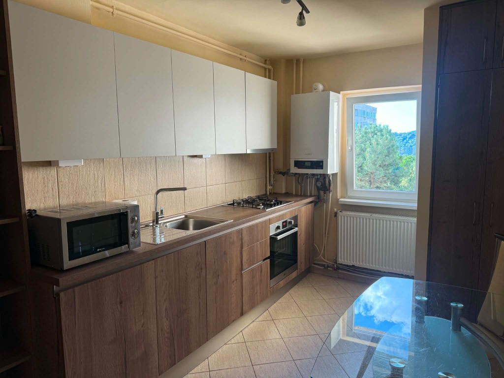 Apartament 2 camere -zona Platinia-USAMV