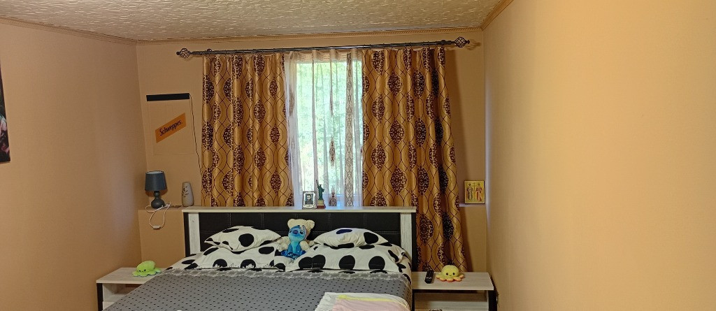 Vând Casă cu 2 camere