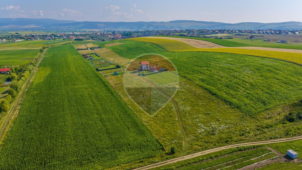 Parcele teren intravilan 563 si 606 mp Bod/ 2 proiecte di...