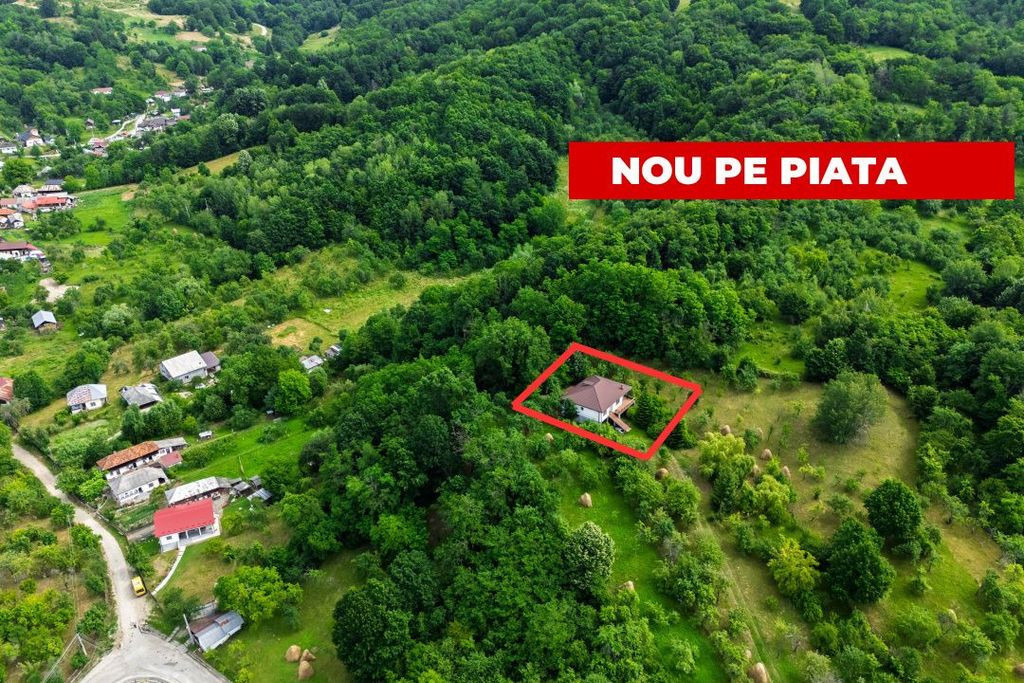 Proprietate de poveste în Corbi, Argeș - Doua case si 6...