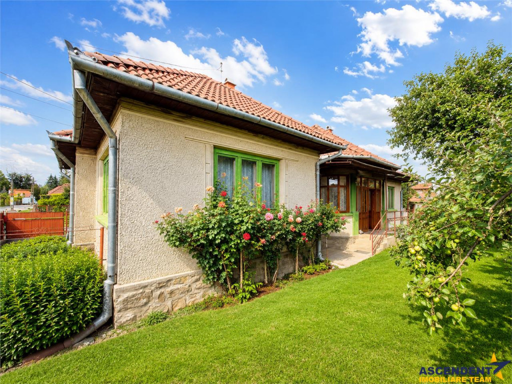 FILM Tur 3D! Casa traditionala, cu aproape 2.000mp teren, Il