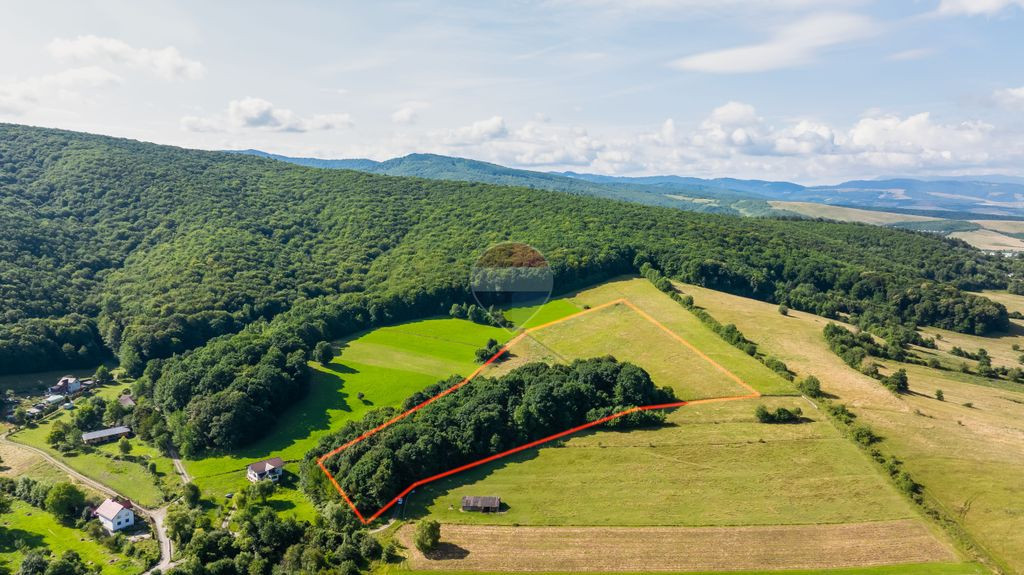 Comision 0% | Teren 10.000 mp în Glăjerie, Râșnov