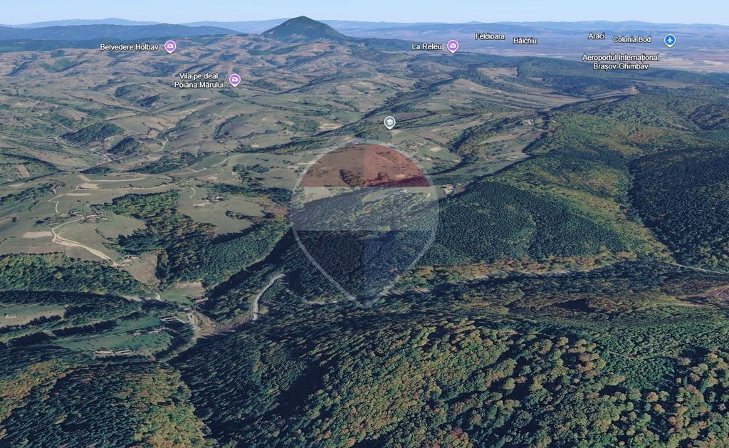 Teren extravilan Poiana Marului 8000mp, inconjurat de padure