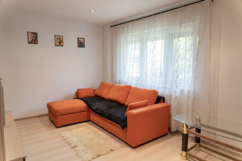 Apartament 2 camere Buziasului