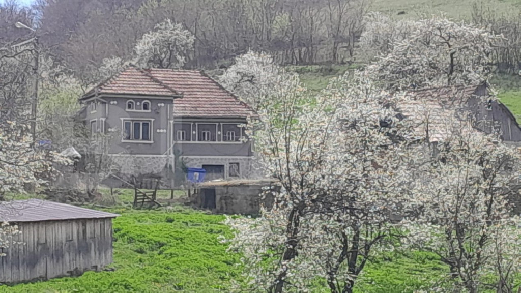 Casa individuala, 3500 mp teren, zona Vintu de Jos, Inuri