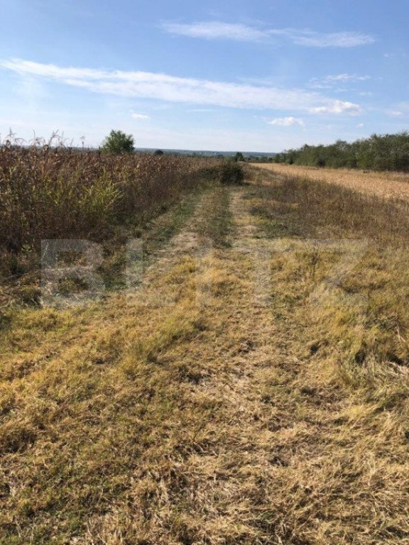 Teren 3222 mp, zona Dragomiresti