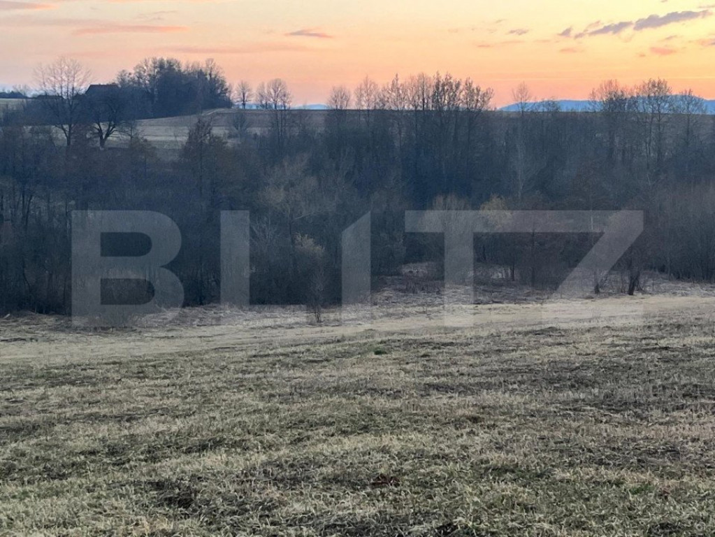 Teren intravilan, 27750mp, Horodnic de Jos, Radauti