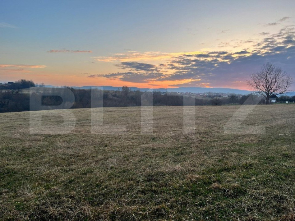 Teren intravilan, 27750mp, Horodnic de Jos, Radauti