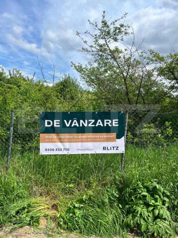 Teren intravilan ,cu vegetatie, 2700 mp, zona Siret