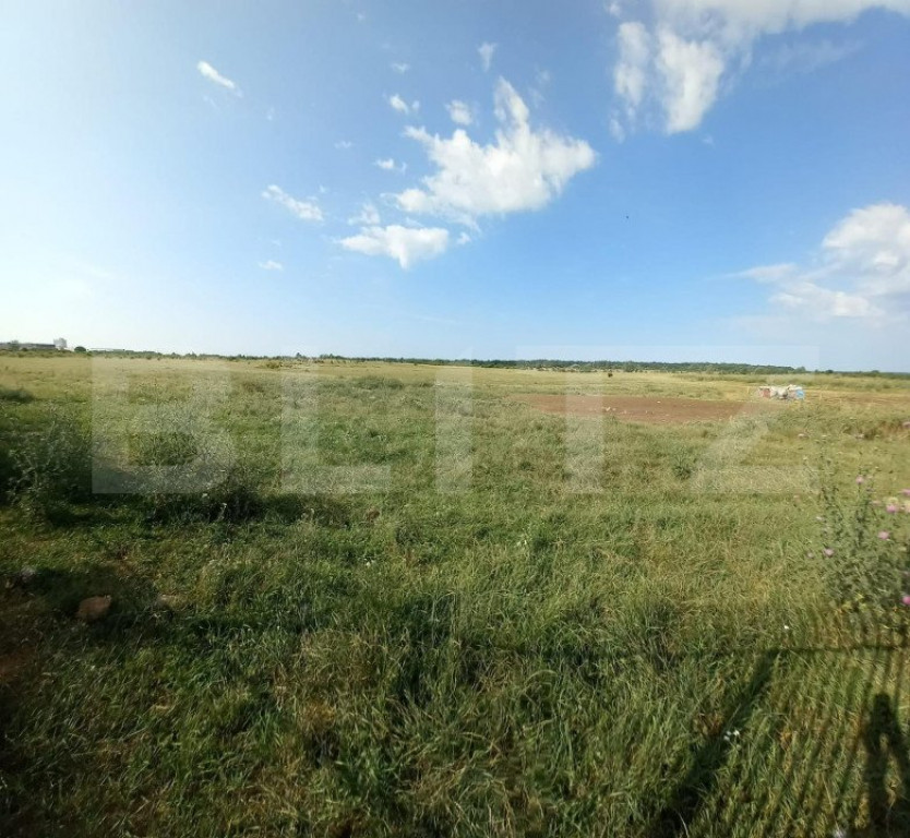 Teren intravilan 5000 mp, Laminorului