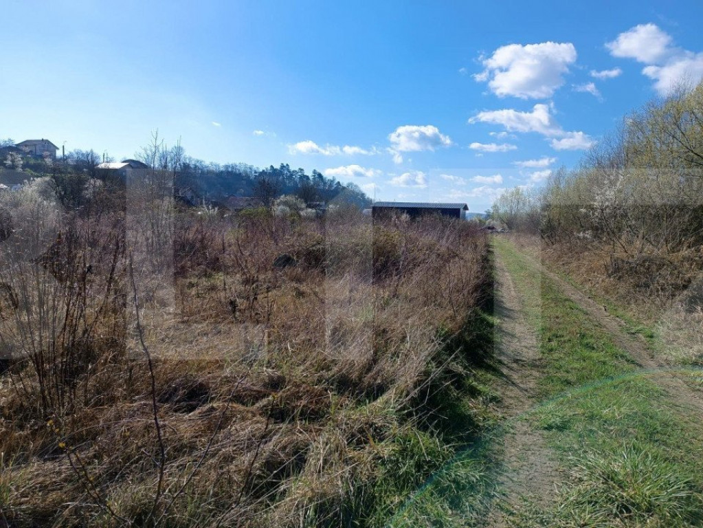 Teren intravilan/extravilan, 3000 mp, zona Bunesti