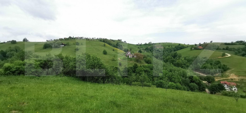 Teren Bran-Zarnesti - Tohanita, 4223mp