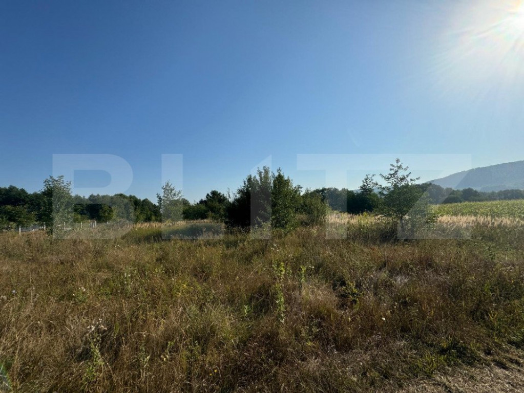 Teren extravilan, 4000mp, com. Darmanesti