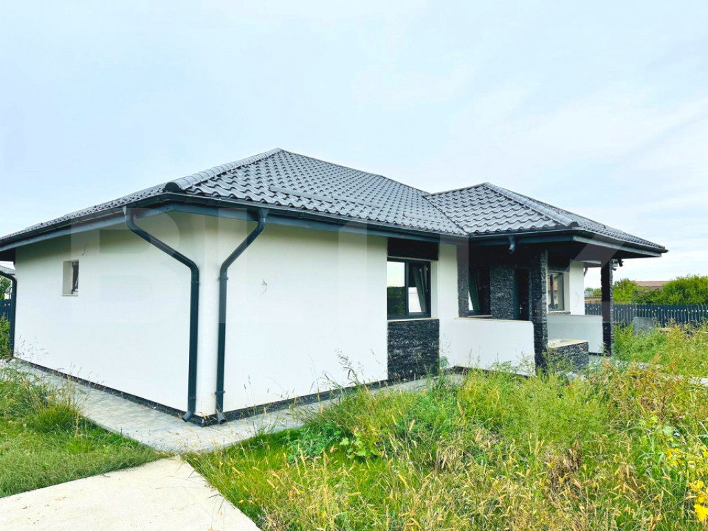 Casa Plan Parter 4 camere, 100 mp, 500 mp teren Vorovesti