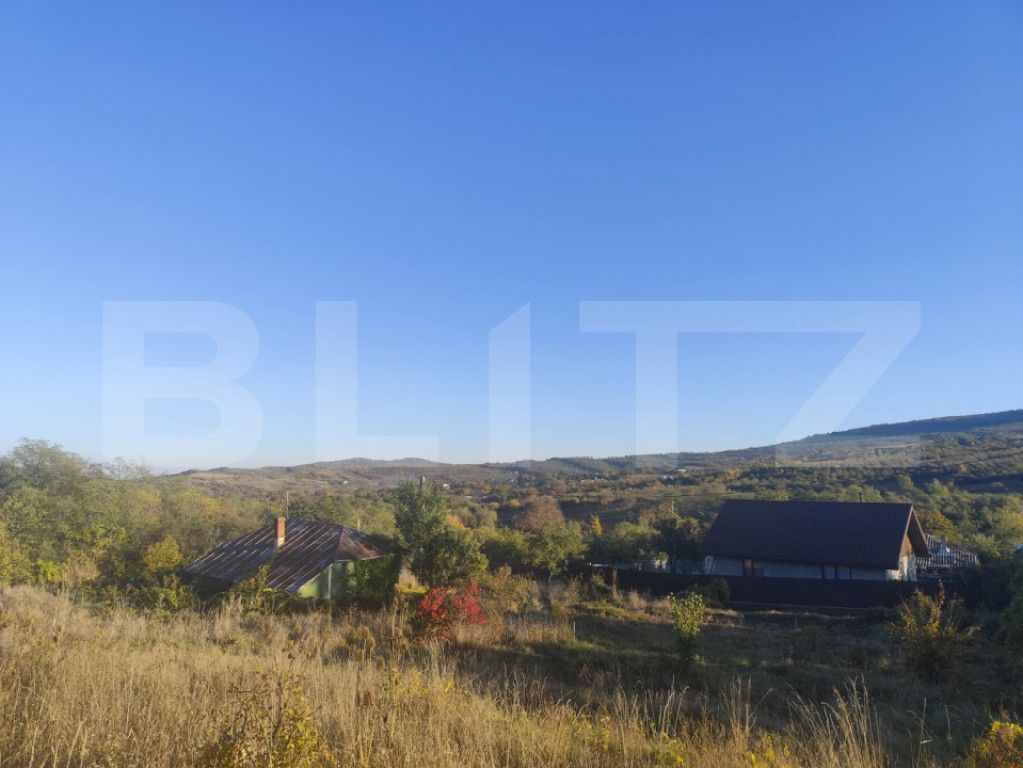 Teren intravilan 500 mp, la asfalt, in Goruni-Tomesti