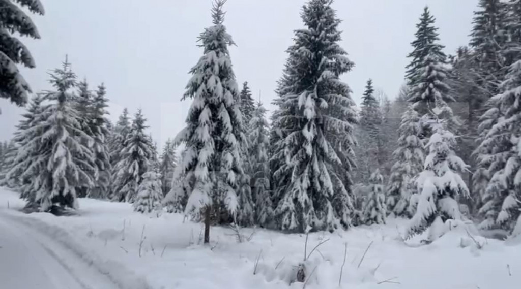 Teren 10,75 ari, intravilan Colibita, cu utilitati