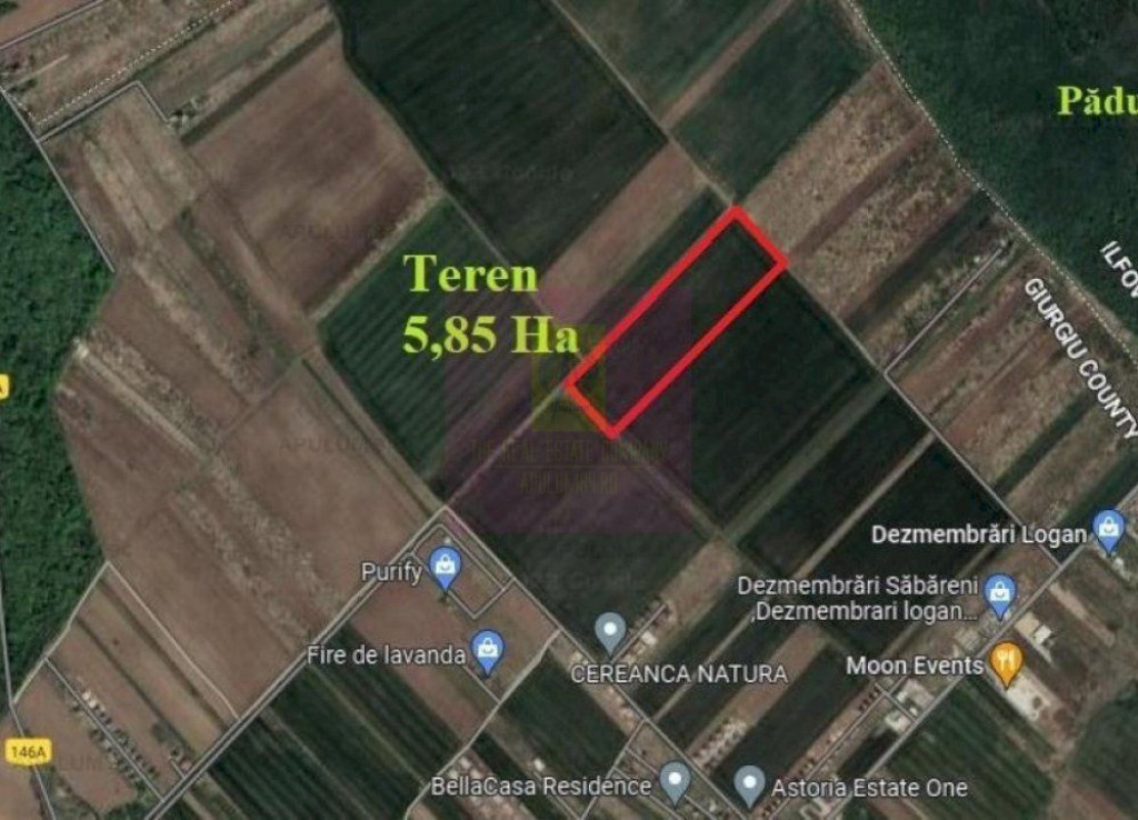 Săbăreni, teren 5,85 ha, intravilan rezidențial, într...