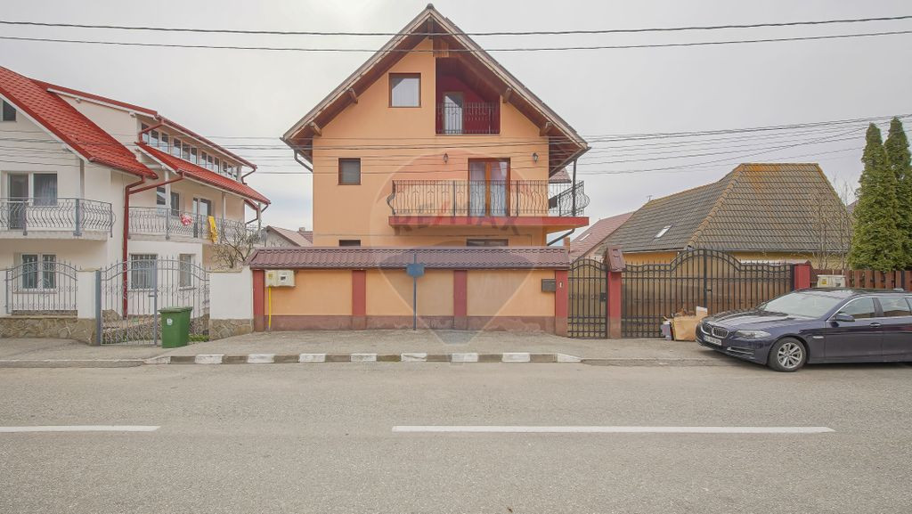 Poveste saseasca la umbra vitei de vie,cu crama,gradina flor