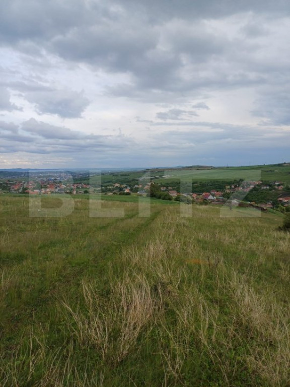 Teren extravilan 1248 mp in Copaceni! Oportunitate investiti