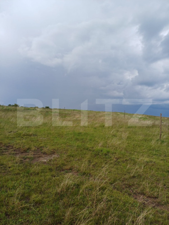 Teren extravilan 1248 mp in Copaceni! Oportunitate investiti