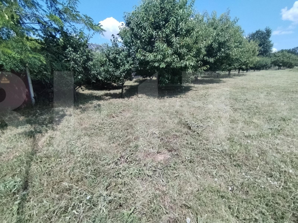 Teren intravilan, 3000 mp, zona Lebada, Botosani