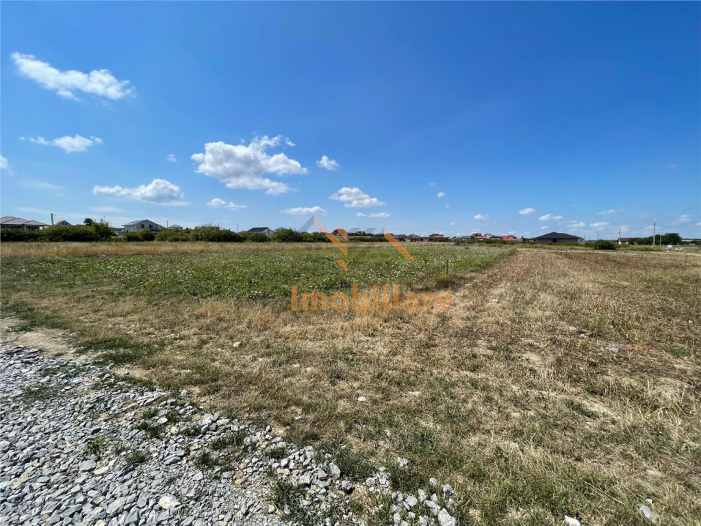 TEREN | 1391MP | SANMARTIN | BIHOR