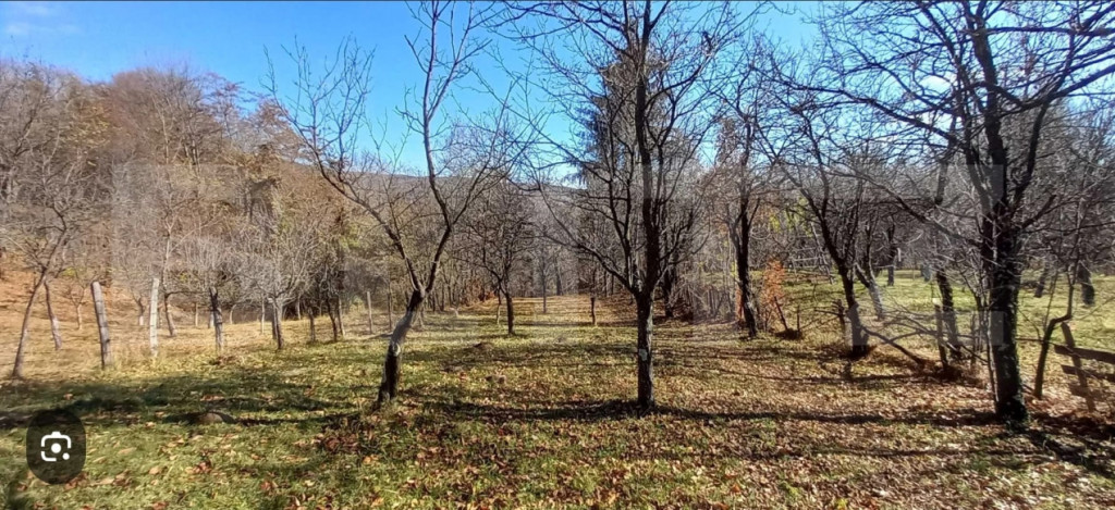 Oportunitate de investiție agricolă – Teren extravilan d