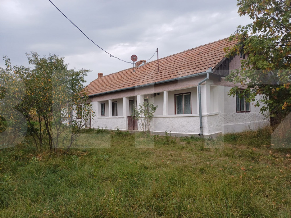 Casa tărănească in centru- Hătuica