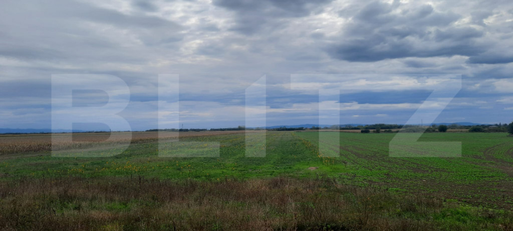 Teren extravilan de vanzare, 21.750 mp, Satu Mare
