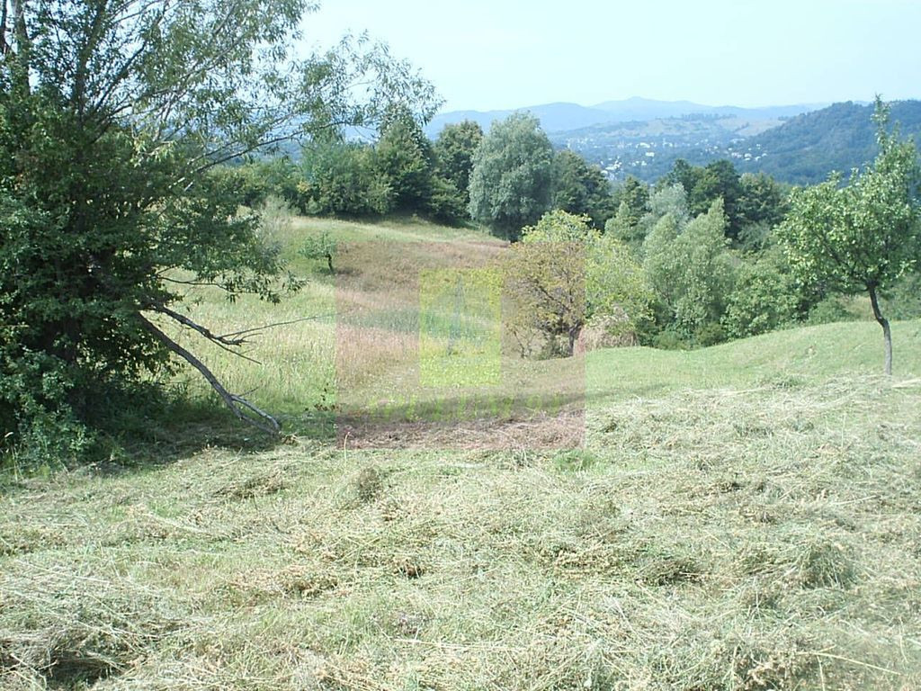 Teren extravilan de vanzare in Telega