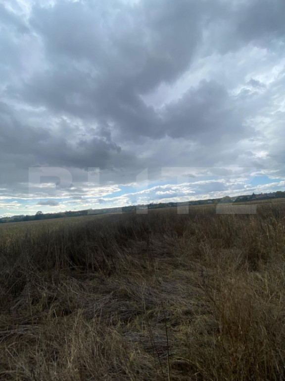 Teren extravilan, 2500 mp, zona Lucieni