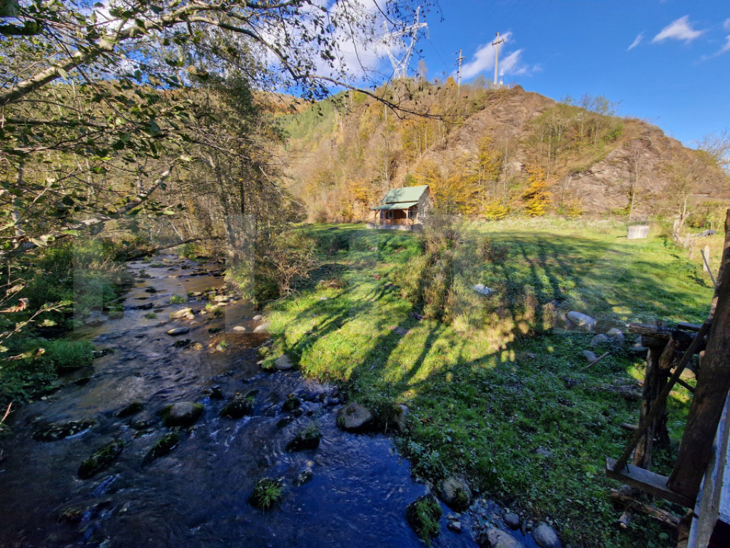 Teren extravilan de 1000mp, cabana, acces direct la pârâu,